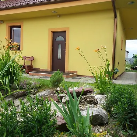 Slnecnica