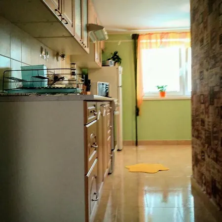 Slnecnica